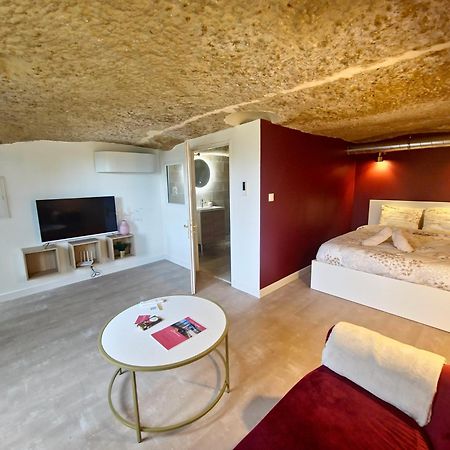 Saint-Étienne-de-Chigny Le Cocon Troglodyte 아파트 외부 사진